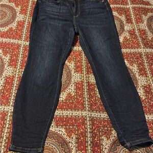 Judy Blue Dark Indigo Skinny Jeans